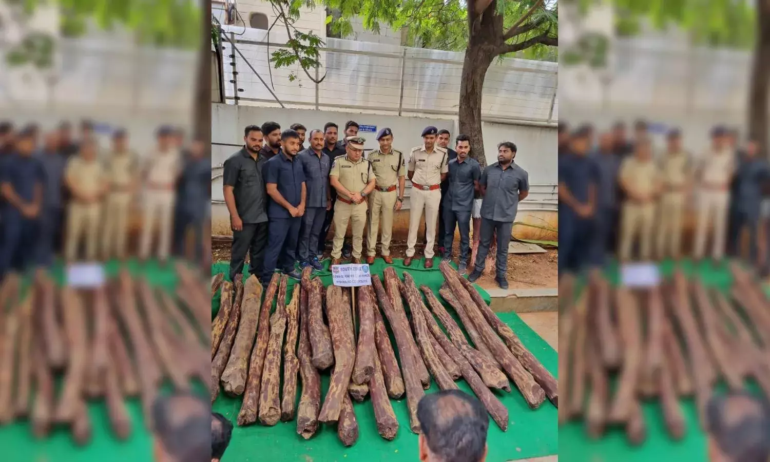 4 red sanders smugglers held; 500 kg of logs worth Rs 75L seized