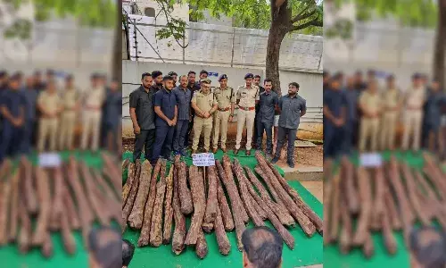 4 red sanders smugglers held; 500 kg of logs worth Rs 75L seized
