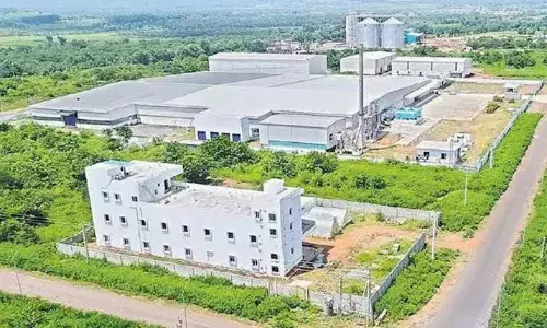 Orvakallu Industrial Park: Buggana Rajendranath to launch pipeline works worth Rs 288cr