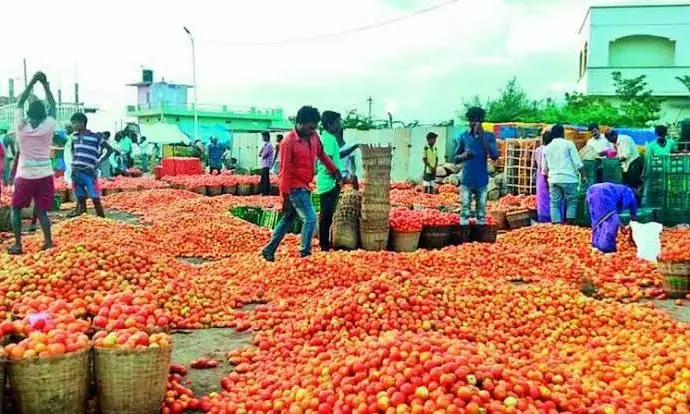 Andhra Pradesh: Heavy rains wreak havoc; paddy, vegetable crops destroyed