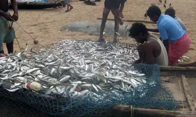 Jagan forms high-level panel to look into syndicates exploiting aqua farmers