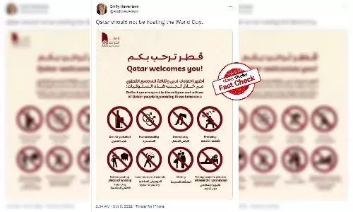 Did Qatar release guidelines for FIFA world cup 2022?