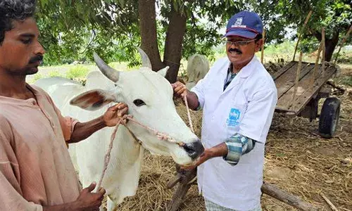 Indian Immunologicals new Hyd unit to manufacture 300M doses of FMD vaccine for animals