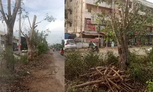Hyd tree lovers concerned after 40 trees pruned on Suchitra-Kompally road