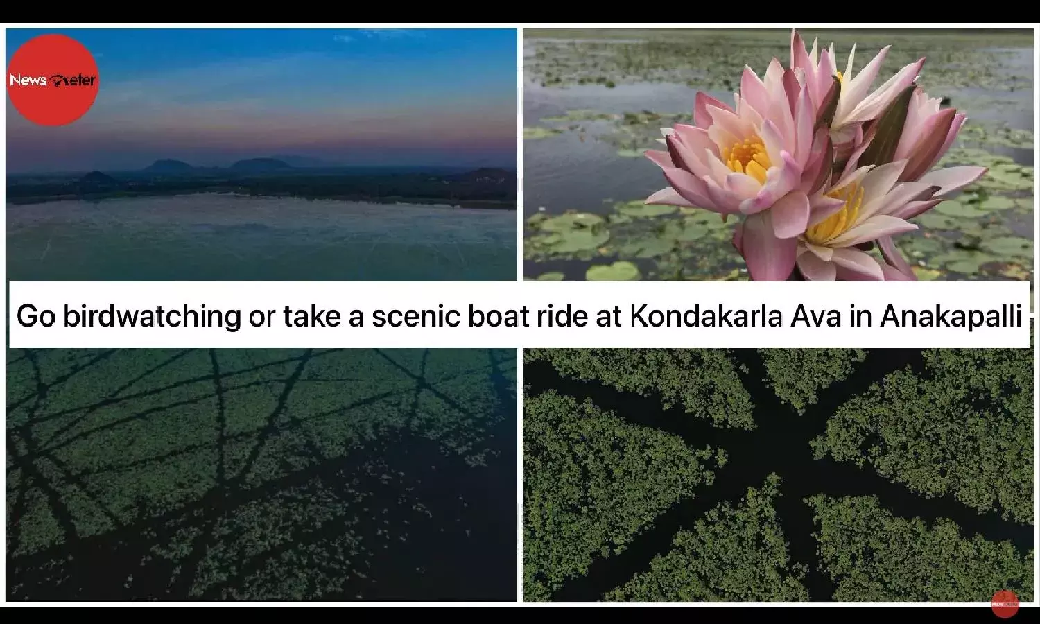 Go birdwatching or take a scenic boat ride at Kondakarla Ava in Anakapalli