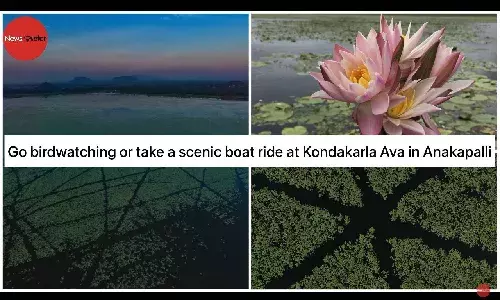 Go birdwatching or take a scenic boat ride at Kondakarla Ava in Anakapalli