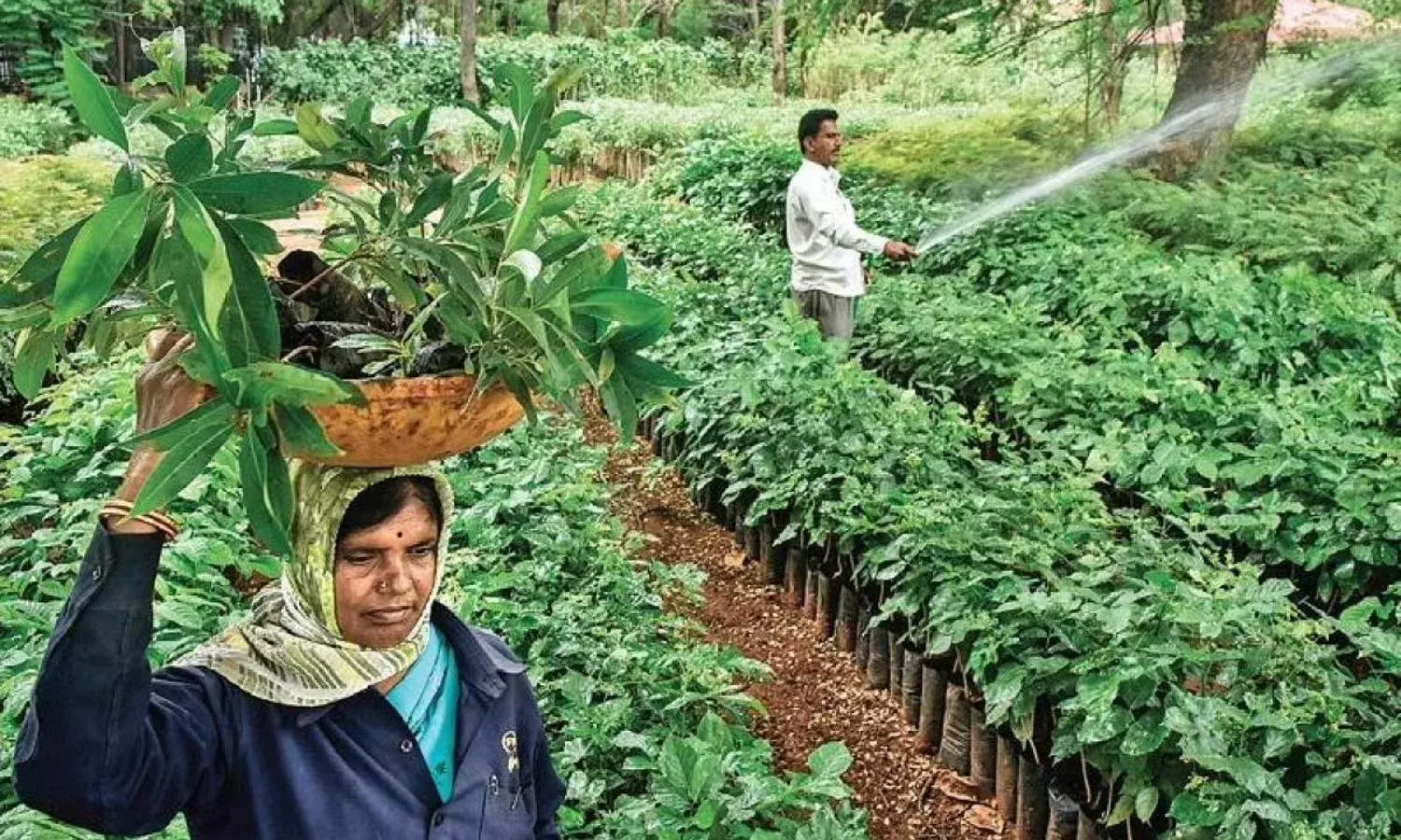 81.81 Sq.km green cover to 760 colony parks: Hyderabad bags `World Green City Award