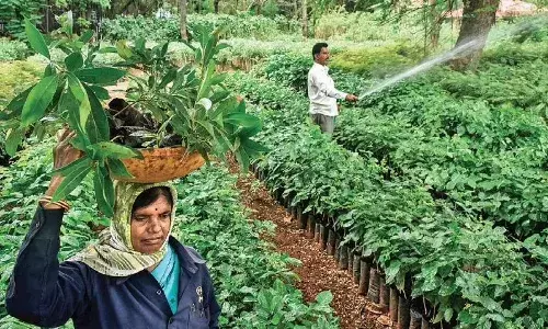 81.81 Sq.km green cover to 760 colony parks: Hyderabad bags `World Green City Award