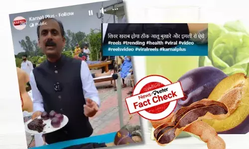 Can plum & tamarind-infused drink cure fatty liver, liver fibrosis?