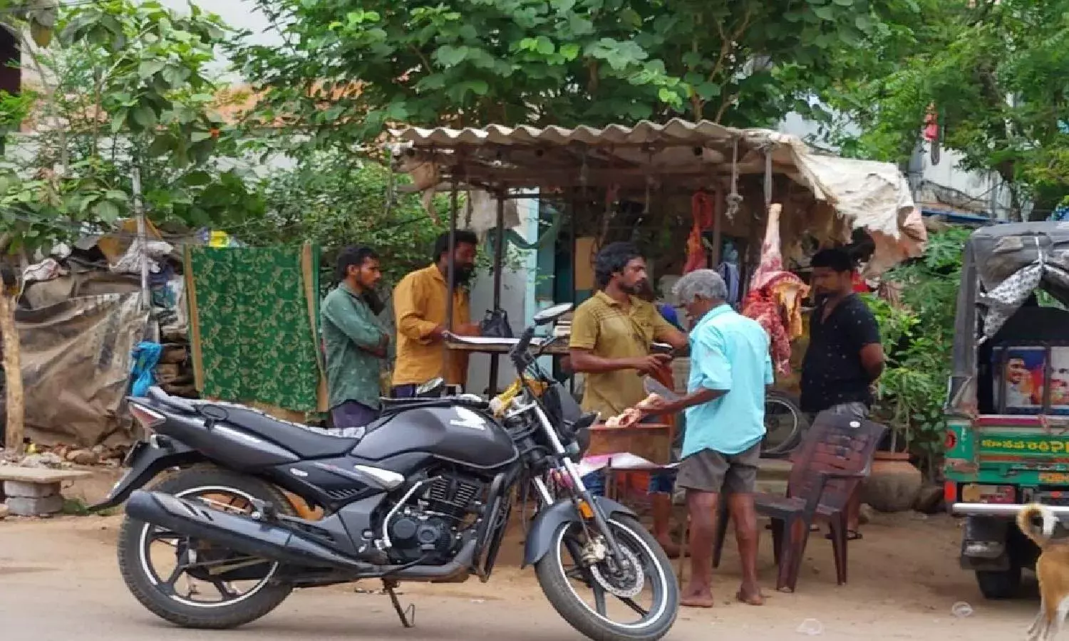 100-200 donkeys slaughtered in Andhra Pradesh, meat sold: PETA