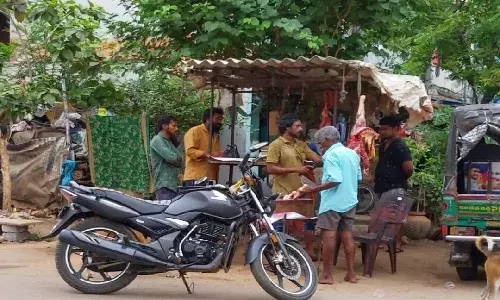 100-200 donkeys slaughtered in Andhra Pradesh, meat sold: PETA