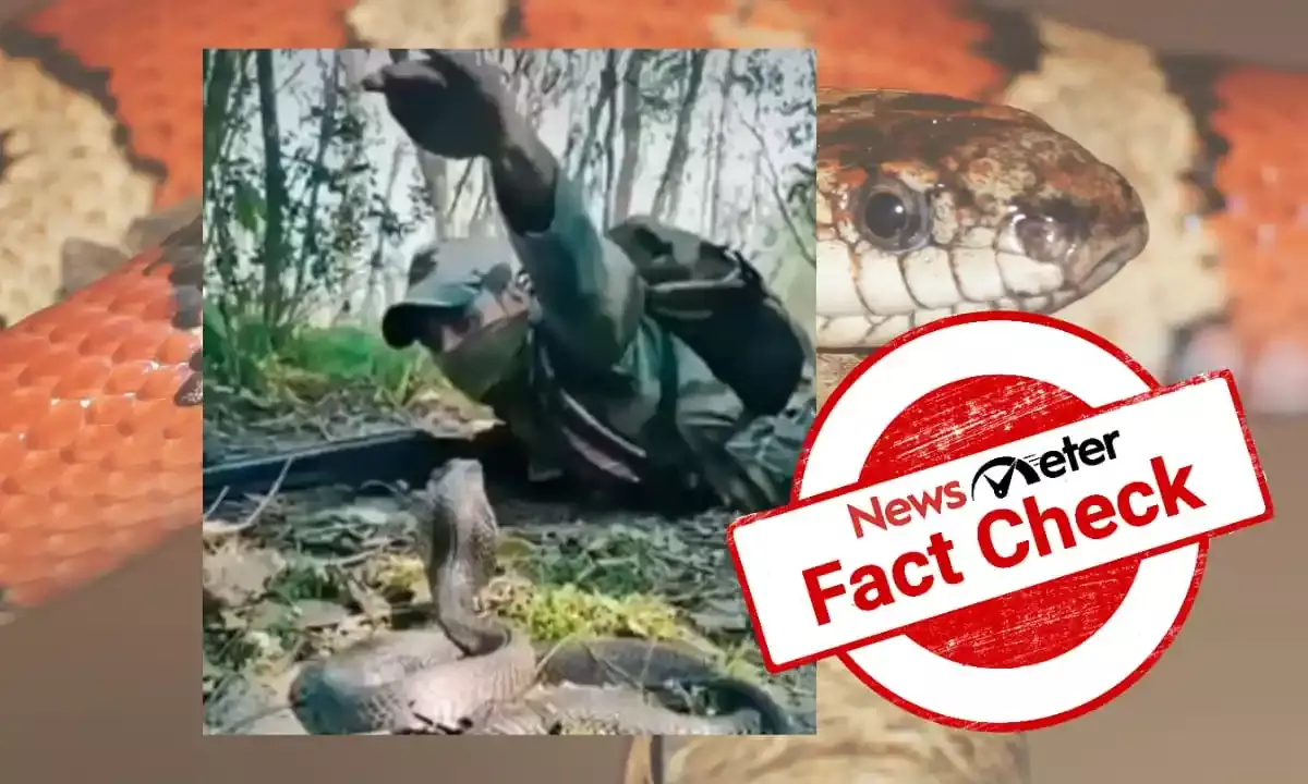 Man in uniform catching cobra is not an Indian army soldier