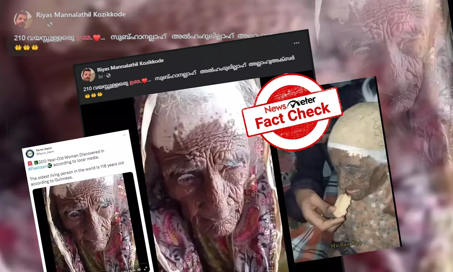 ദൃശ്യത്തിലേത് 210 വയസ്സ് പ്രായമുള്ള സ്ത്രീയോ?  ലോകത്ത് ഏറ്റവും പ്രായംചെന്ന സ്ത്രീ ആരെന്നറിയാം