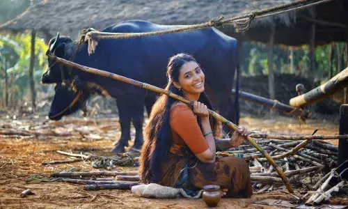 Exclusive: Im still in shock  and digesting appreciation: Actor Sapthami Gowda on Kantaras success