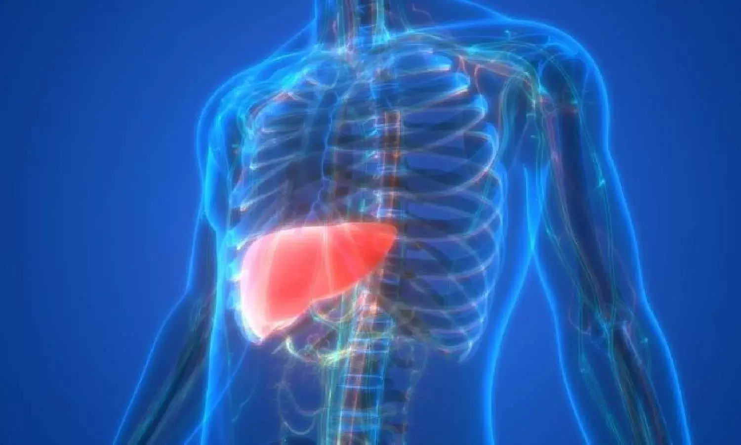 Explained: How Fatty Liver Index can help diagnose lifestyle diseases