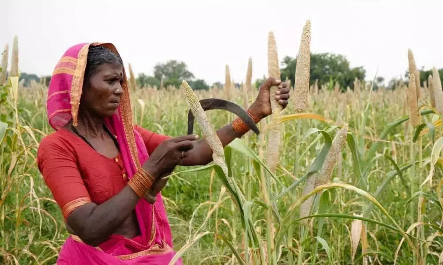 Day 57 of BJY: Rahul Gandhi meets women millet farmers of Zaheerabad