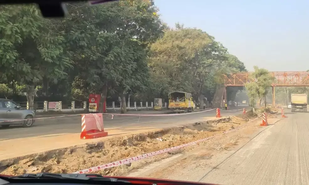 City nature lovers decry cutting down of trees for Formula E track