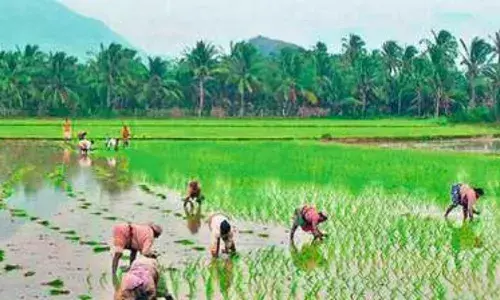 APs Rythu Sadhikara Samstha bags international award at UN conference in Egypt