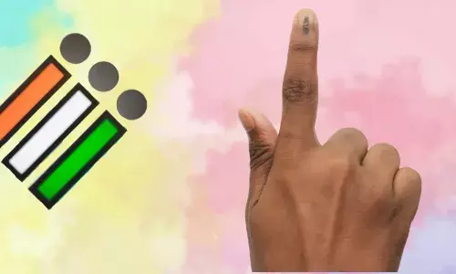 Telangana has over 2.95 crore voters: Chief Electoral Officer