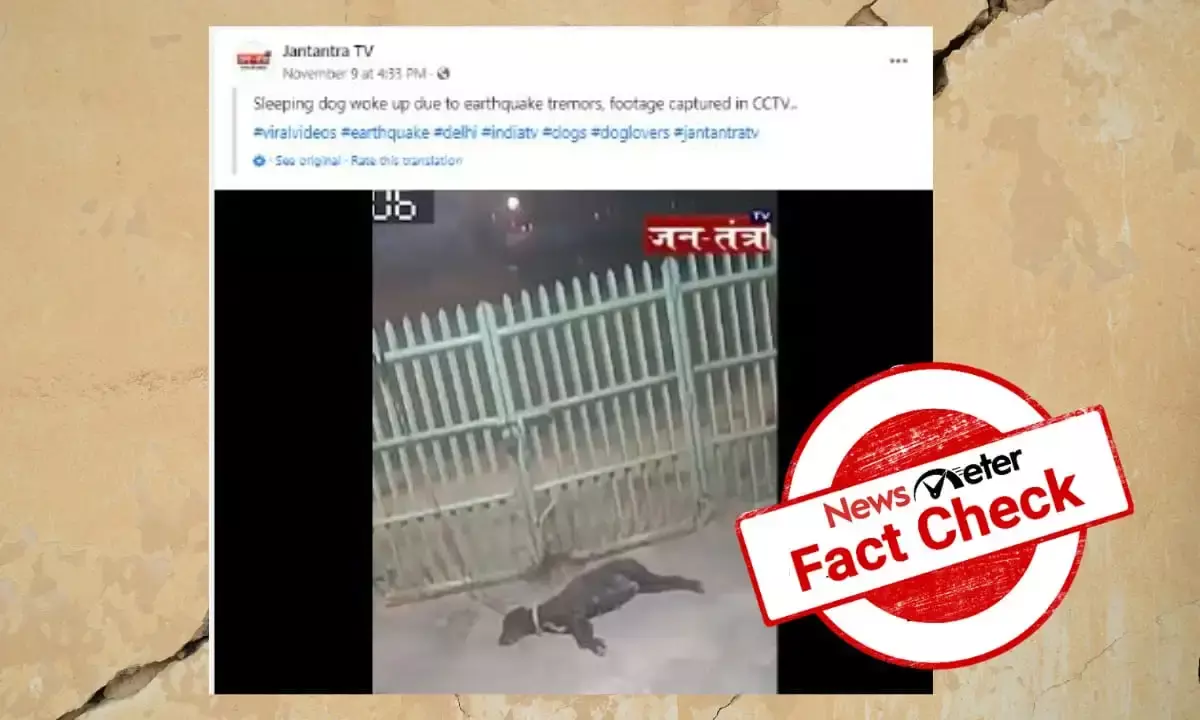 Old visual of  dog sensing tremor passed off as earthquake in Delhi-NCR