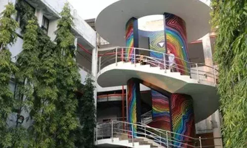 Unity through art: French wall artists create unique mural at IIIT-H campus