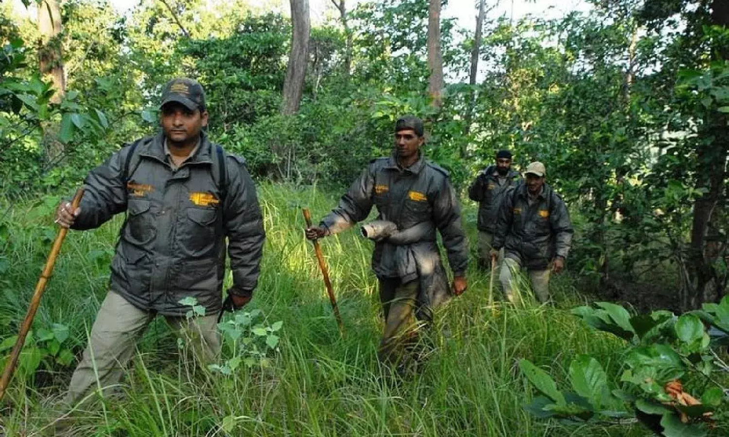 I am afraid of more assaults on frontline forest staff: HyTiCoS director writes to KCR