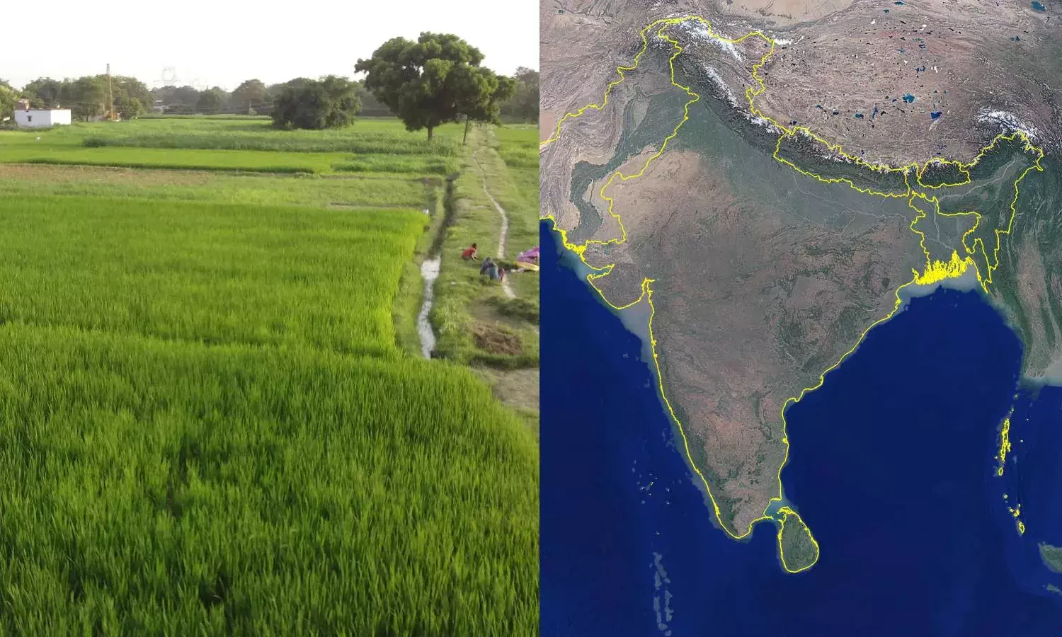 Cropland mapping for Agri insurance claims:  ICRISAT, ADB develop high-resolution spatial maps