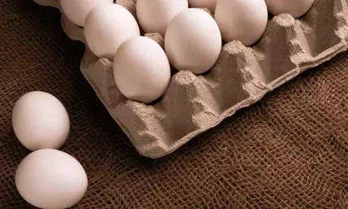 Rs 7 per piece: Egg prices increase by 35% in Andhra