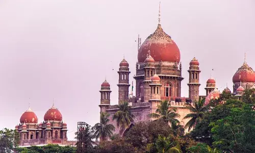 `When is chairman retiring:  HC lambasts TSHRC for taking up family matters under guise of HR