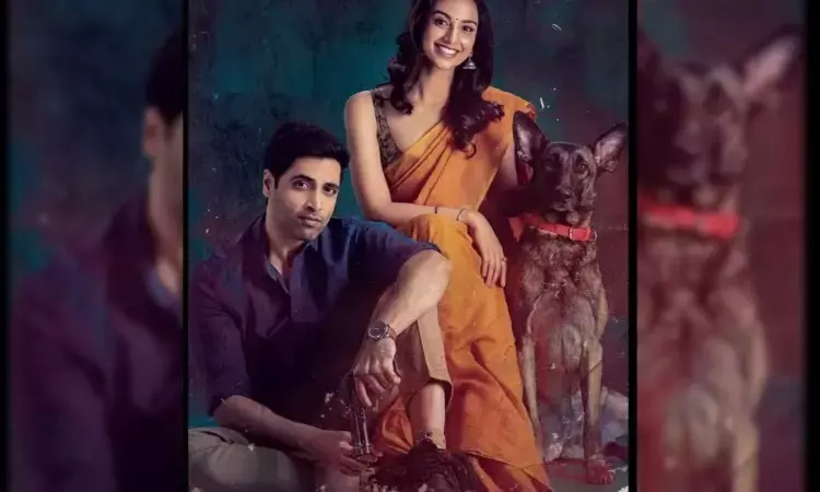 HIT 2 collections: Biggest opening for Adivi Sesh, film becomes crime thriller of the season