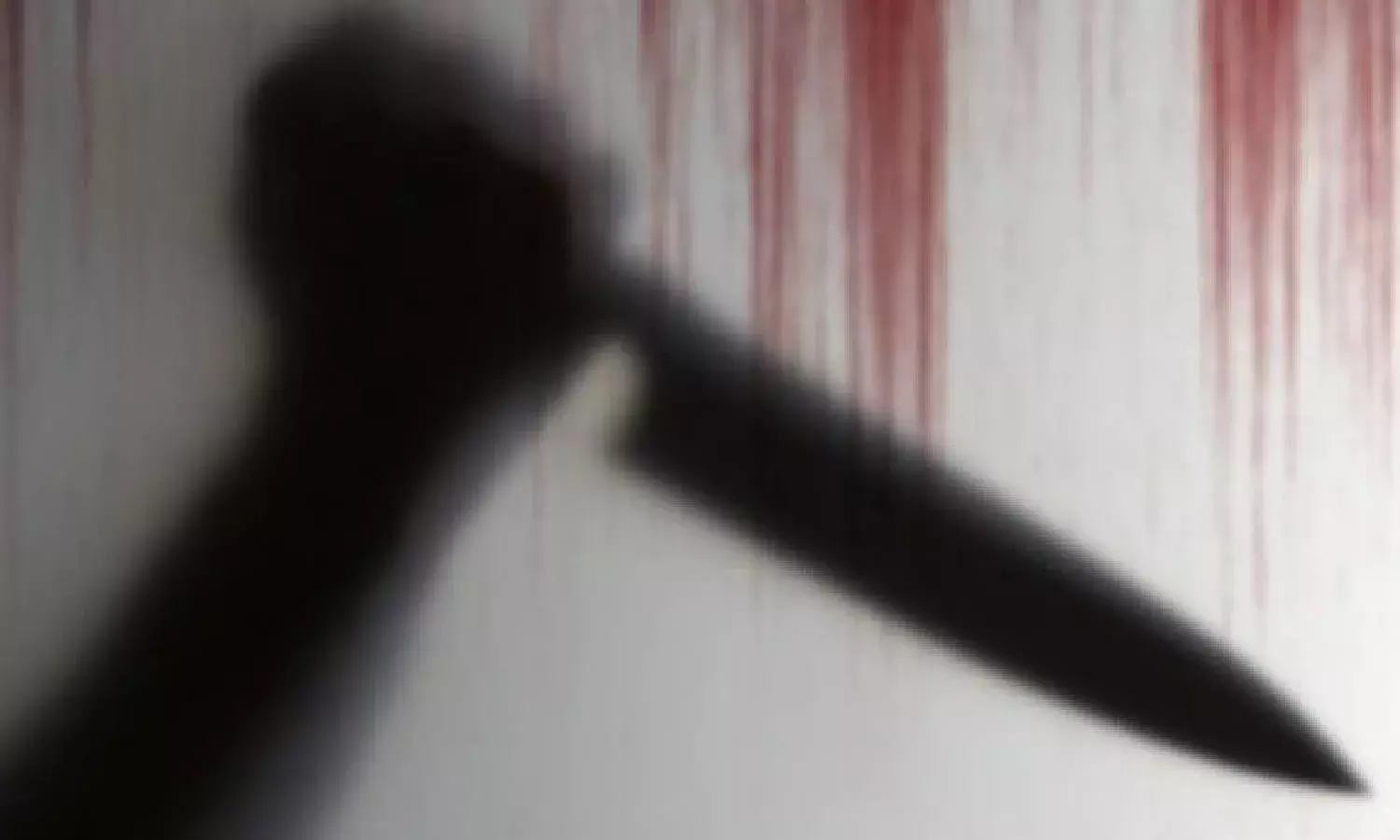 Delhi crime repeat in Vizag: Women chopped into pieces, stuffed in plastic drum