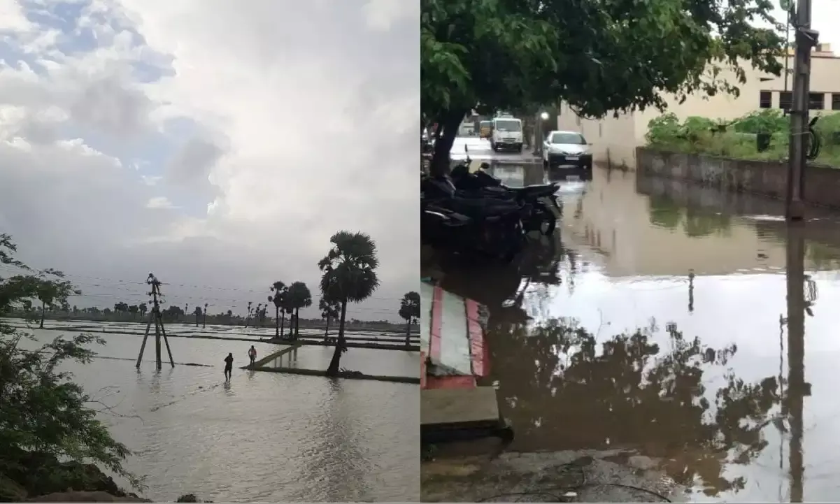 Cyclone Mandous weakens: 42 divisions affected in Nellore, 126  relief centers set up
