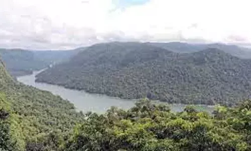 Thousands protest against Yerravaram hydro project; block roads in Chintapalle