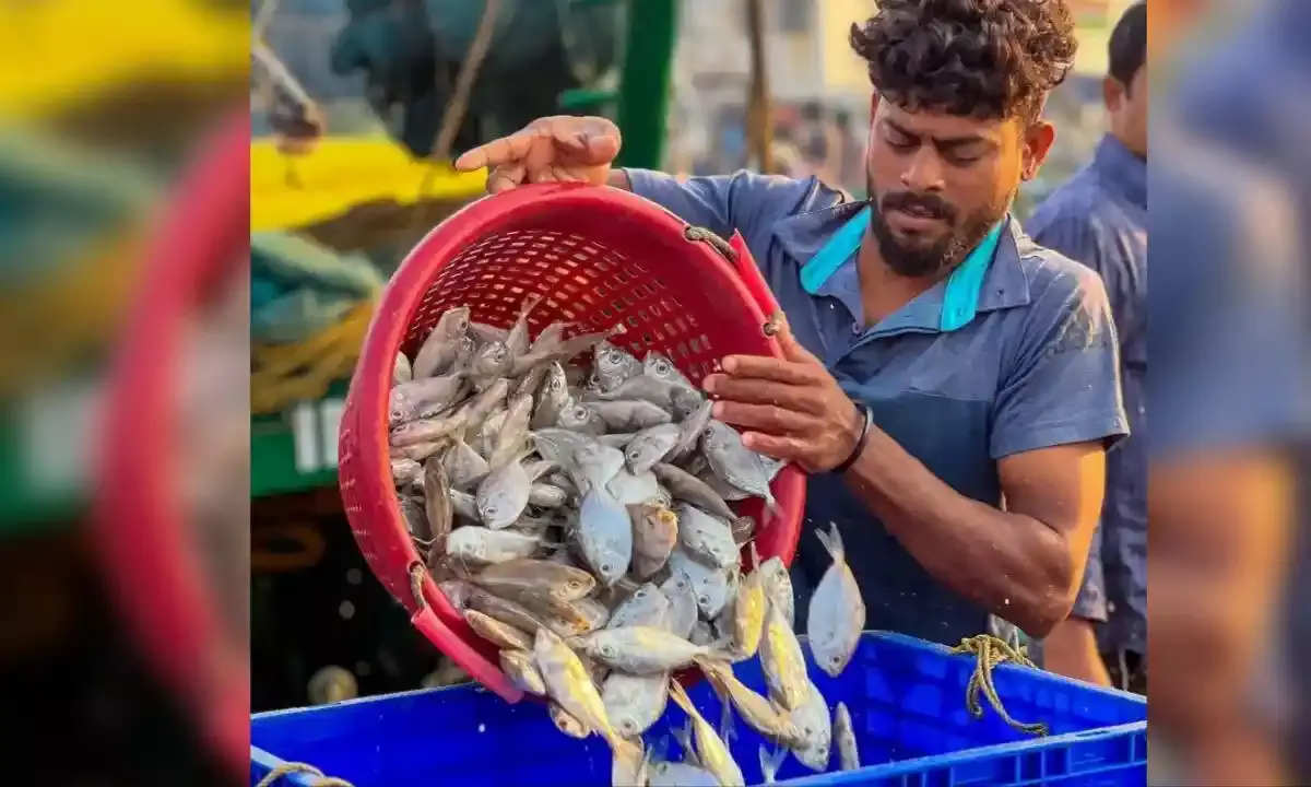 ICAR-CIFTs two new technologies to aid sustainable fishing in AP