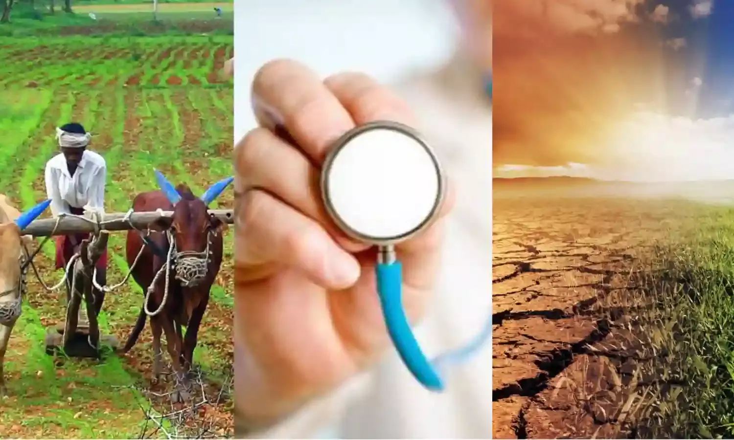 The looming climate crisis: Farmers, food security, and health