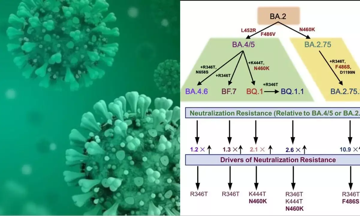 Is it a needless panic over Omicron in India?