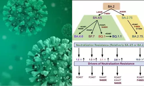 Is it a needless panic over Omicron in India?