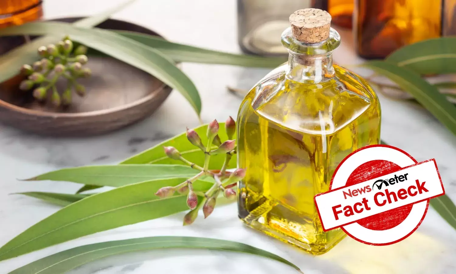 Can Eucalyptus oil treat hallucinations and autism? Explained