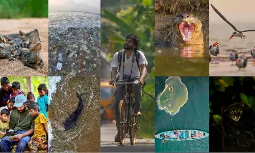 Meet wildlife photographer Srikanth Mannepuri aka Andhras Jim Corbett