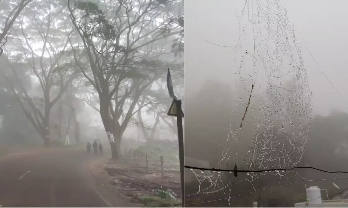 APs Chintapalle shivers at 1.5°Celsius, lowest this season