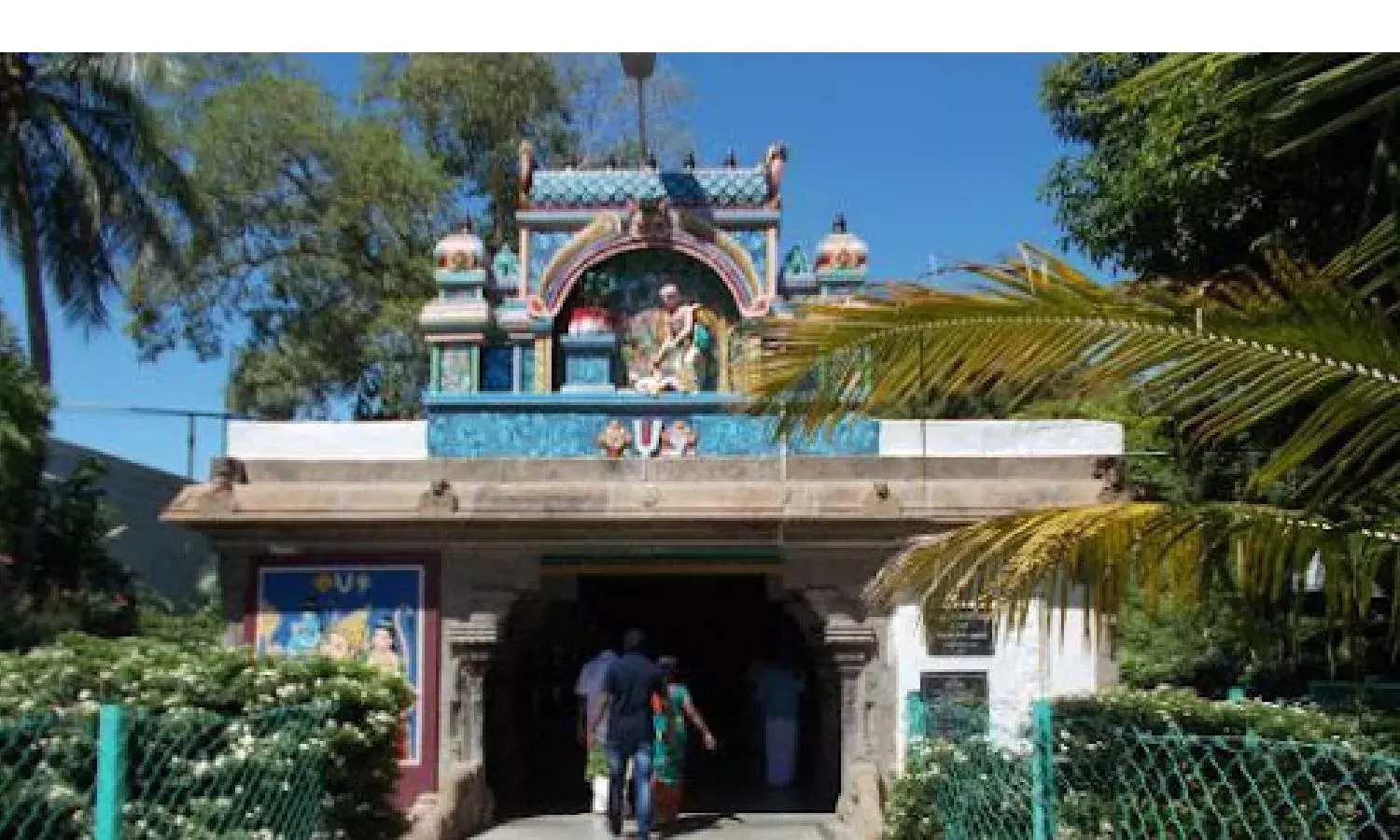 We came purified and to sing awakening songs