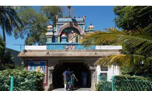 We came purified and to sing awakening songs