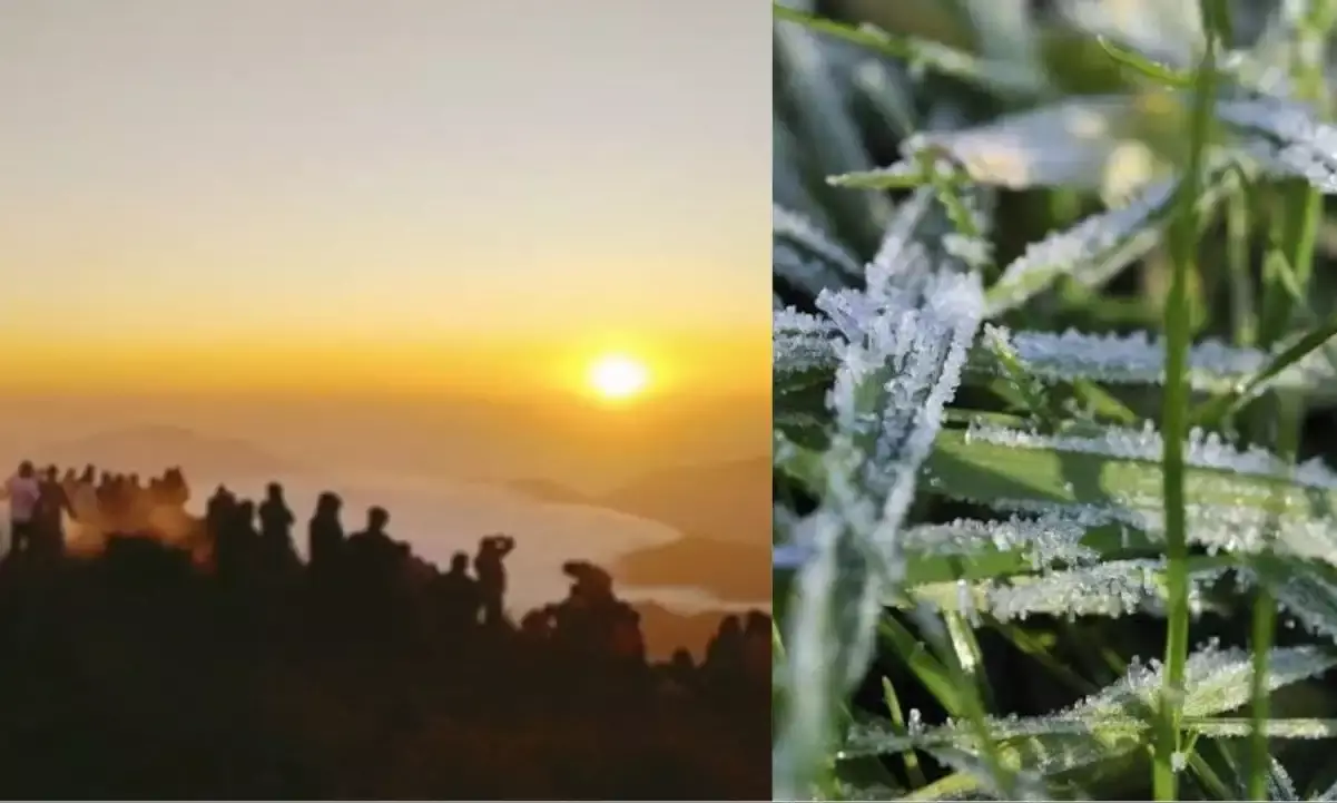 Cold wave, fog grip AP districts; G Madugula records 1.9°C,  lowest in 3 years