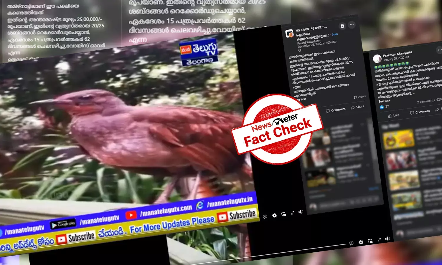 തമിഴ്നാട്ടില്‍ കണ്ടെത്തിയ മിമിക്രി പക്ഷി: വീഡിയോയുടെ വസ്തുതയറിയാം