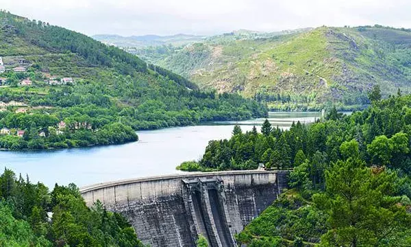 HRF opposes hydro-electric projects in tribal pockets; asks AP govt to cancel deal