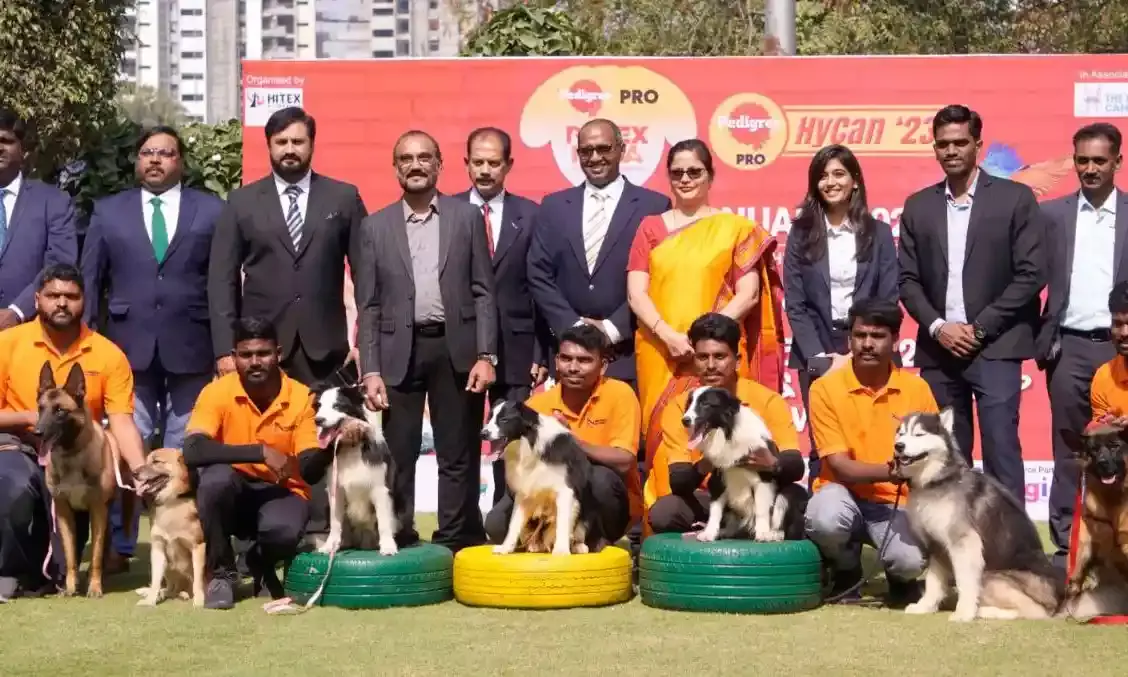 Responsible pet parenting, socialisation of pets key to avoiding freak incidents