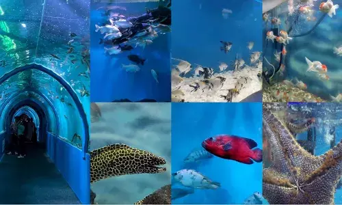Get a glimpse of the vibrant sea world at Vizagās Underwater Tunnel Aquarium Exhibition