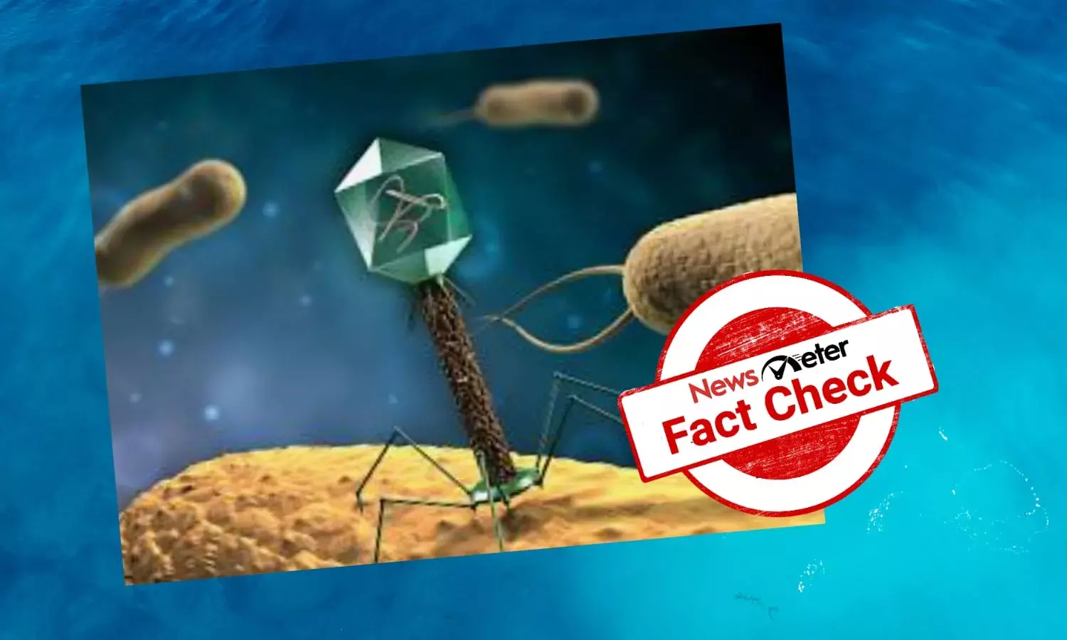 Is the image of a T4 Bacteriophage (a virus) circulating on the internet real?