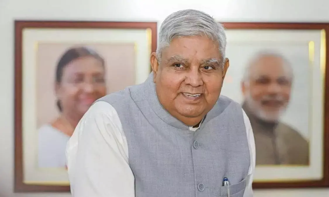 Think about rule of law: Vice-President asserting ‘survival of democracy’