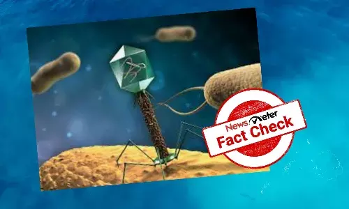 Is the image of a T4 Bacteriophage (a virus) circulating on the internet real?
